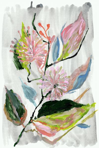 Abstrakte lyserøde blomster af cartissi