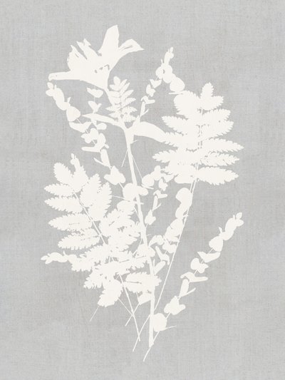 Studie af botaniske silhuetter af cartissi