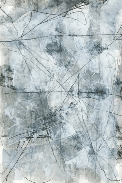Dynamiske grå linjer af cartissi