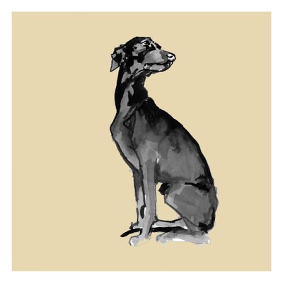 Elegant sort hund af cartissi