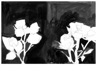 Elegante nattblomster af cartissi