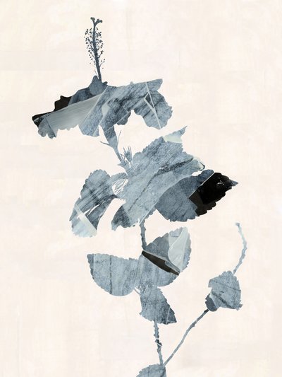 Hibiscusblomst – abstrakt af cartissi