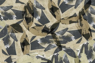 Geometriske blade i lag af cartissi