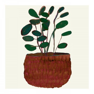 Frodig potteplante af cartissi