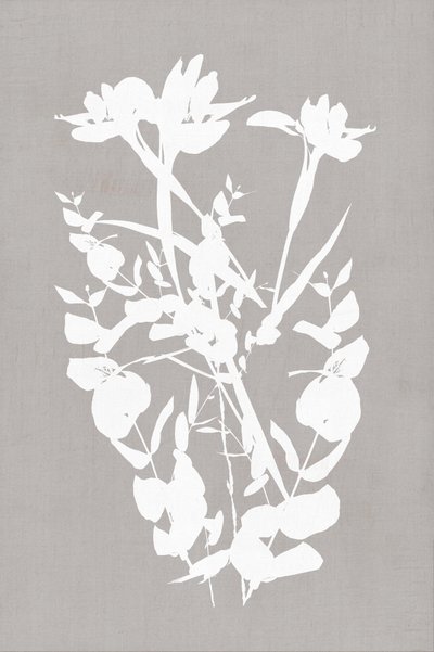 Moderne botaniske silhuetter af cartissi