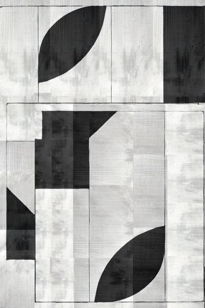 Moderne geometrisk monokrom af cartissi