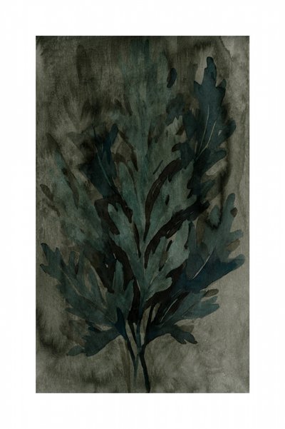 Stemningsfulde botaniske blade af cartissi