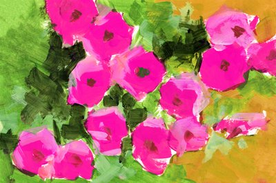 Blomster i den lyserøde have af cartissi