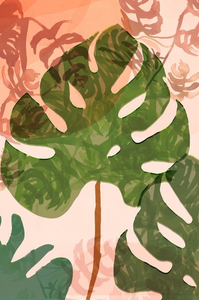 Tropiske Monstera-blade af cartissi