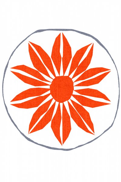 Strålende orange blomst af cartissi