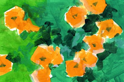 Levende orange blomster af cartissi