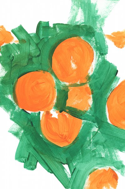 Friske, orange frugter af cartissi