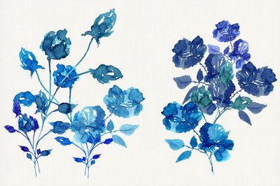Akvarel: Blå blomster af cartissi