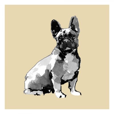 Akvarel af en fransk bulldog af cartissi