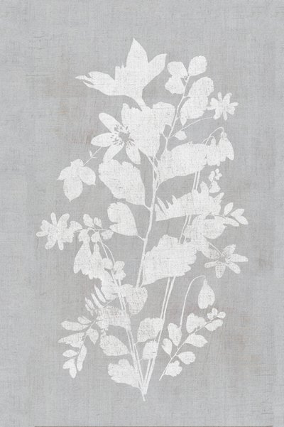 Hvid blomstersilhuet af cartissi