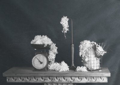 Vintage-stil med bomuldsstilleliv af chenyi wang