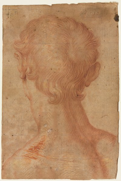 Mandens hoved bagfra af copy after Agnolo Bronzino