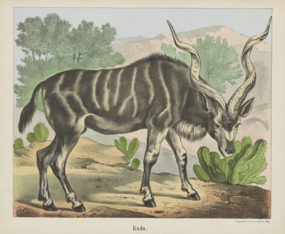 Kudu (titel på objekt) af firma Joseph Scholz