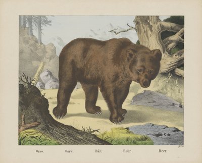 Eller sådan. / Vores. / Bær. / Bjørn. / Øl (titel på objekt) af firma Joseph Scholz
