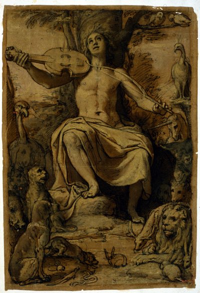 Orpheus fortryller dyrene med musikken fra en violin. Tegning af Federico Zuccari (1542 - 1609). af or Zuccaro Federico Zuccari