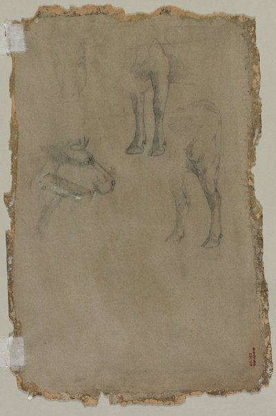 Studier af en tyr (verso) af possibly by Johan Barthold Jongkind