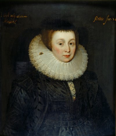 Portræt af Lady Emily Howard, begyndelsen af det 17. århundrede af the Younger School of Marcus Gheeraerts
