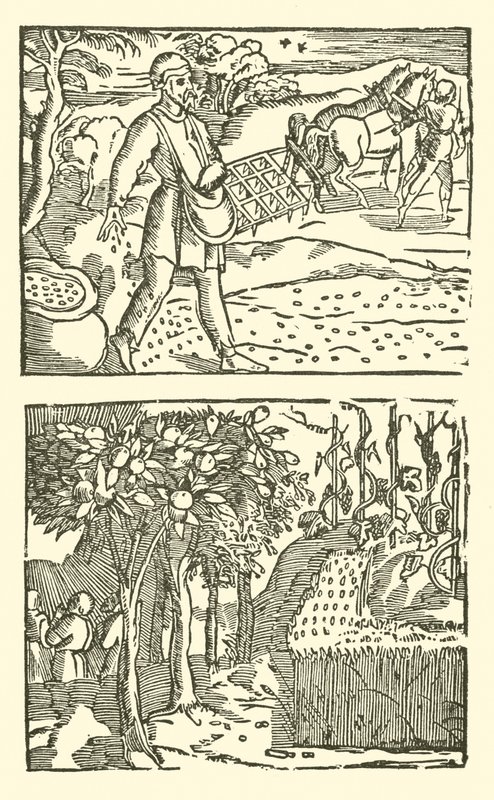 Illustration til The Roxburghe Ballads (træsnit) af (after) English School