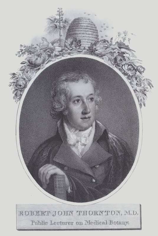 Robert John Thornton (litho) af (after) English School