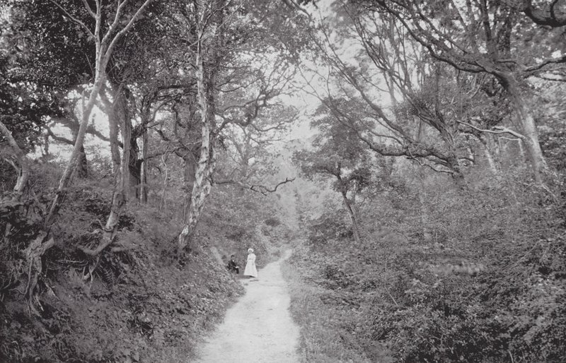 Fairlight Glen (s/h-foto) af (after) English photographer