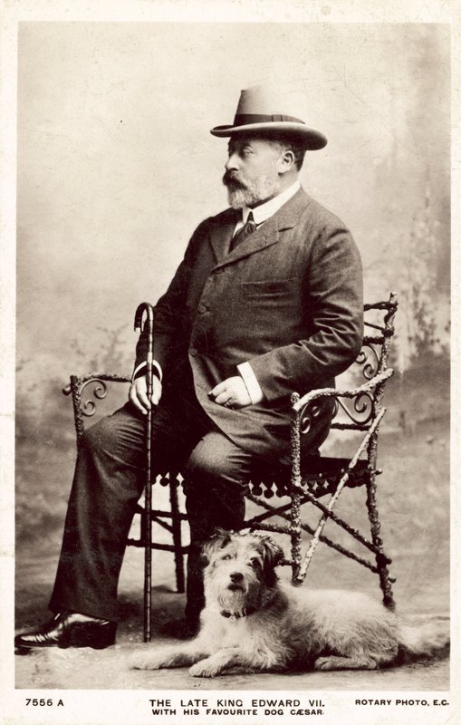 Den afdøde kong Edward VII, med denne yndlingshund Cæsar (s/h foto) af (after) English photographer