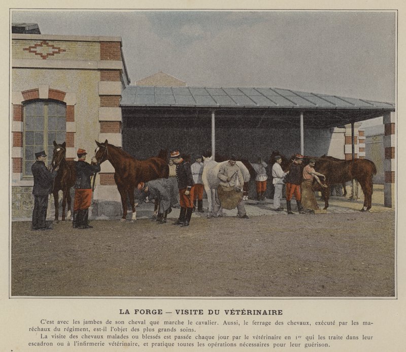 La Forge, besøg af dyrlægen (farvet foto) af (after) French Photographer