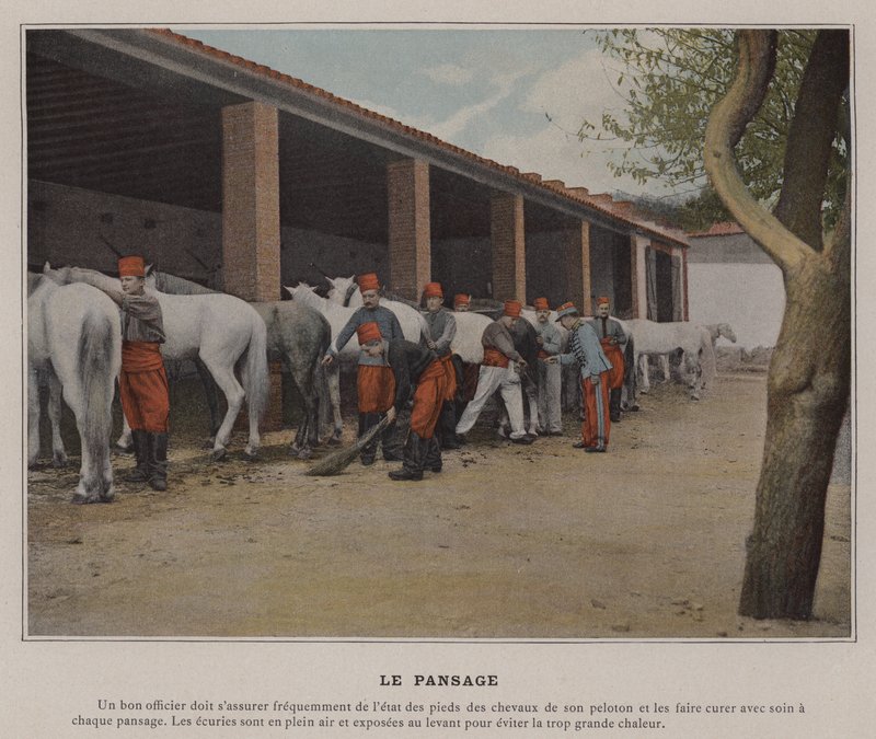 The Grooming (farvet foto) af (after) French Photographer