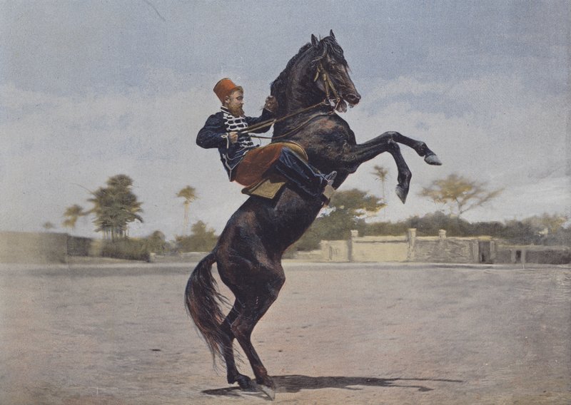 Nos Cavaliers (farvet foto) af (after) French Photographer