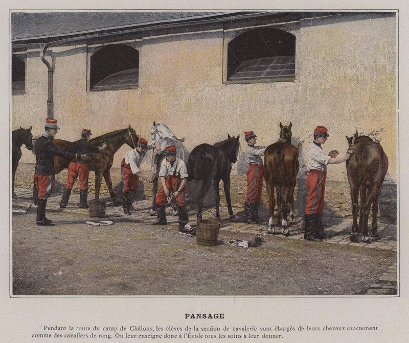 Pansage (farvet foto) af (after) French Photographer