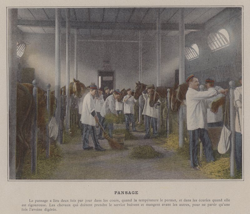 Pansage (farvet foto) af (after) French Photographer