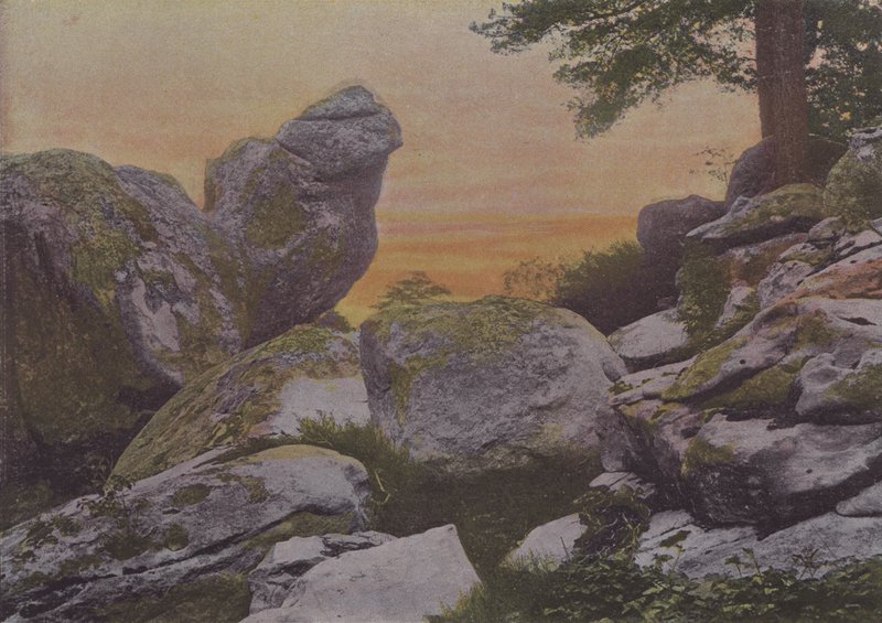 Rochers du mont Ussy (farvet foto) af (after) French Photographer