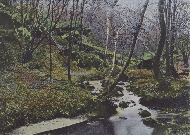 Vaux de Cernay, Les Cascades (farvet foto) af (after) French Photographer