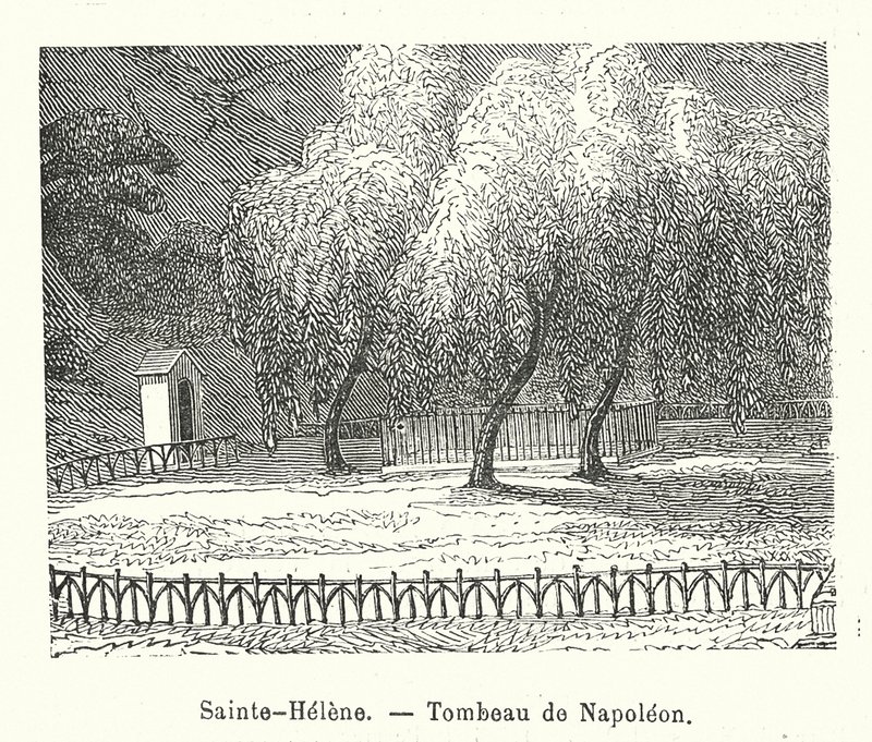 Sainte-Helene, Napoleons grav (kobberstik) af (after) French School