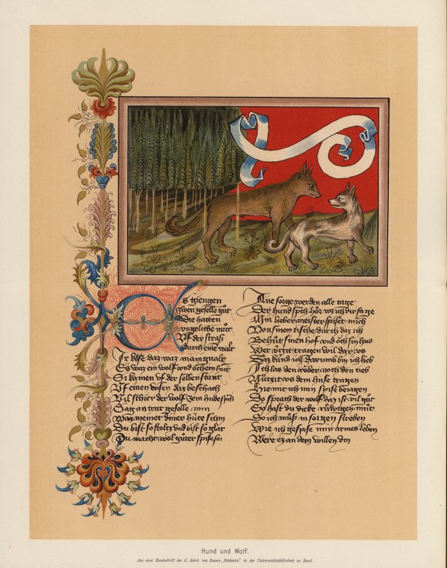 Hund og ulv (farvelitografi) af (after) German School