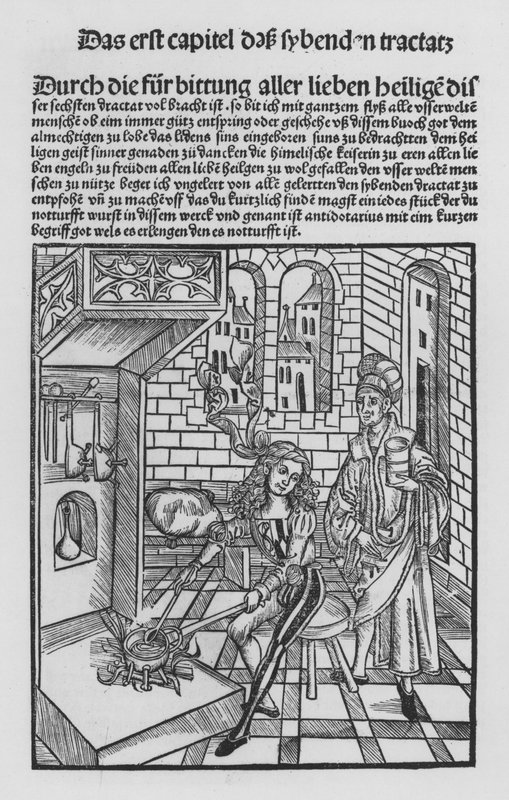 The Book of Cirurgia af Hieronymus Brunschwig (litho) af (after) German School