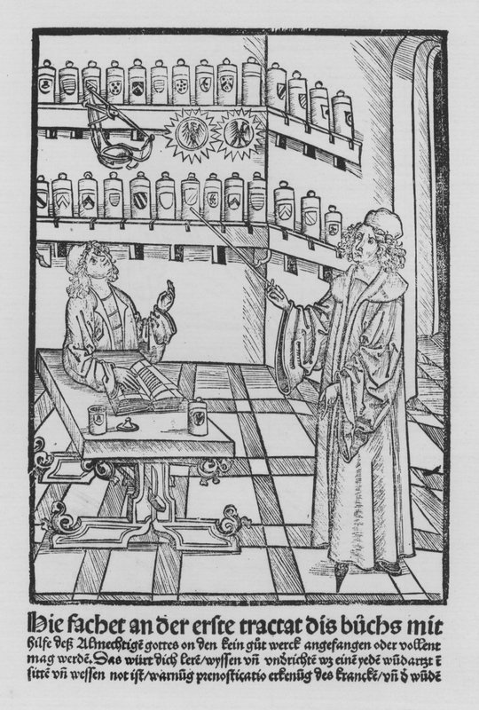 The Book of Cirurgia af Hieronymus Brunschwig (litho) af (after) German School
