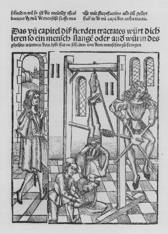 The Book of Cirurgia af Hieronymus Brunschwig (litho) af (after) German School