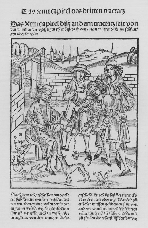 The Book of Cirurgia af Hieronymus Brunschwig (litho) af (after) German School