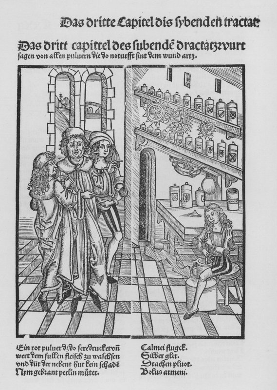 The Book of Cirurgia af Hieronymus Brunschwig (litho) af (after) German School