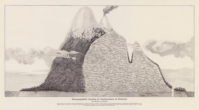 Vegetationsområder i Chimborazo, Ecuador (litografi) af (after) German School