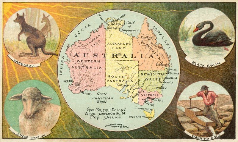 Australien af American School