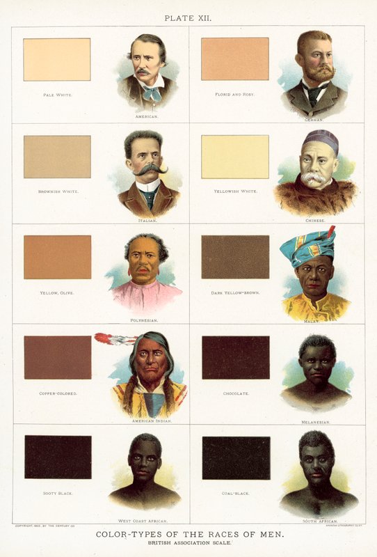 Color-Types of the Races of Men, British Association-skala af American School