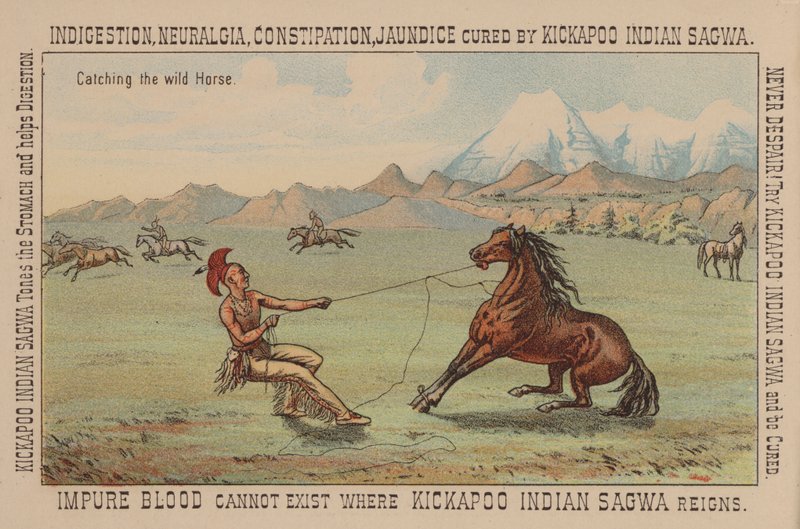 Indianer fanger en vild hest af American School