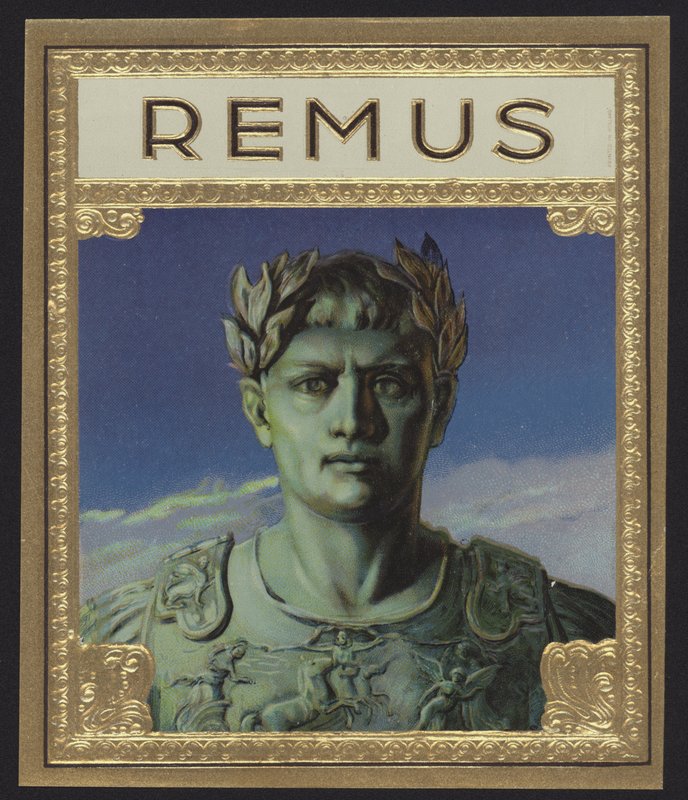 Remus af American School