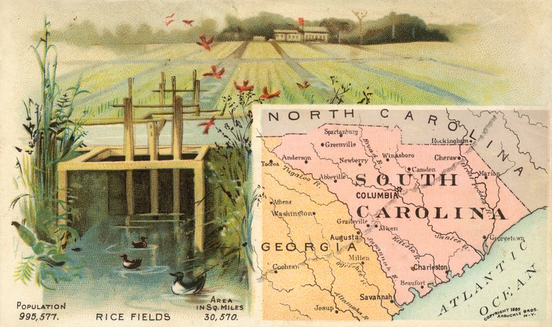 South Carolina, USA af American School